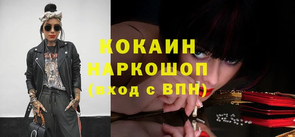 стаф Алзамай