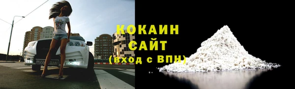 стаф Алзамай
