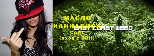 стаф Алзамай
