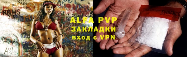 стаф Алзамай