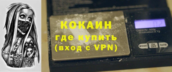 стаф Алзамай