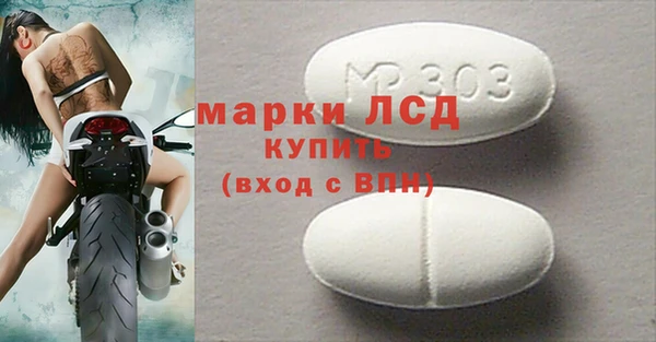 стаф Алзамай