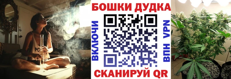 Бошки Шишки план  Ставрополь 